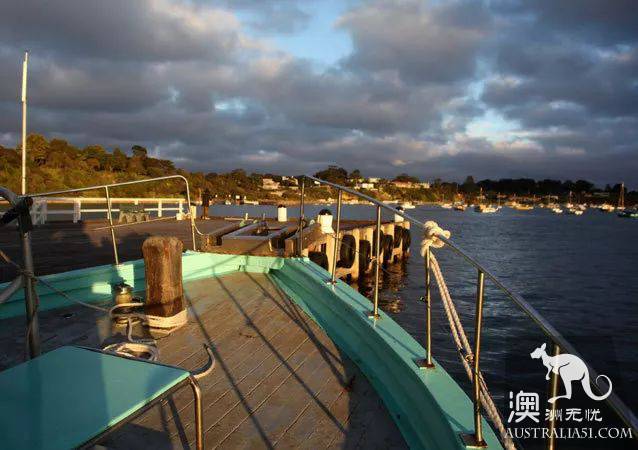 别再去看企鹅泡汤了，来点新鲜感吧，从墨尔本一路向东，吃吃喝喝玩到莫宁顿半岛
