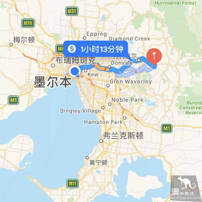 墨尔本三处最美薰衣草园，我要去当浪漫仙子啦