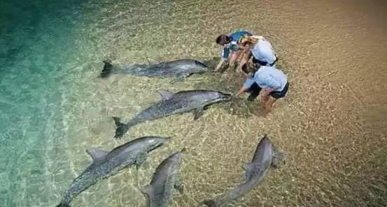澳洲101个最美最好玩的全在这了,去完此生无憾