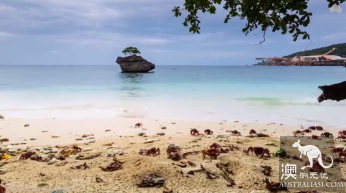 震撼多图!“红色浪潮”袭击澳洲圣诞岛,那景象,举世罕见