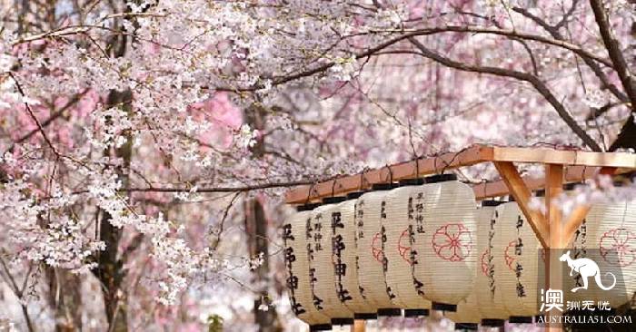开春啦,悉尼周边“拈花惹草”全攻略,你学会了吗?
