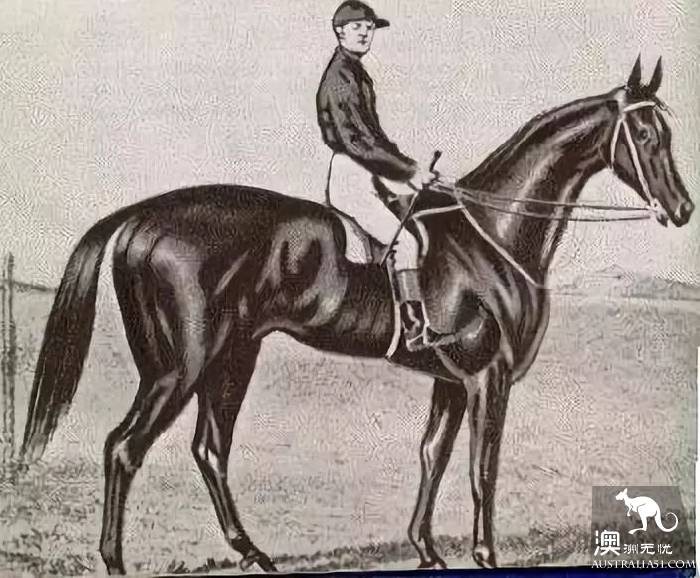 不去看赛马怎能算在墨尔本待过?2018 Melbourne Cup 最强攻略在此
