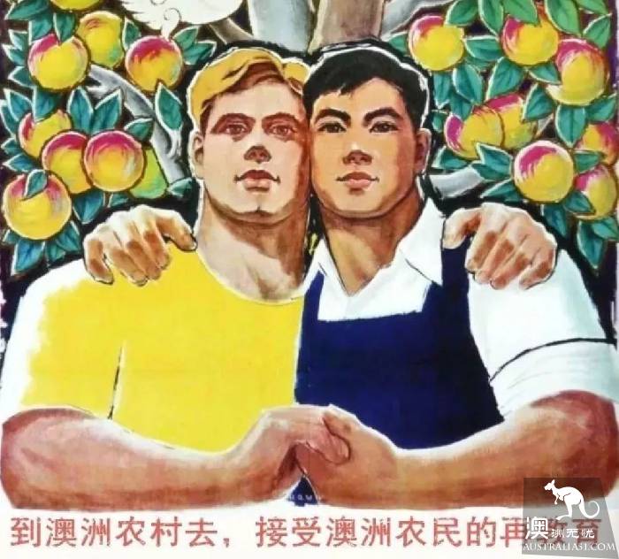 “别往我这赶！”澳偏远地区怒怼“移民下乡”政策