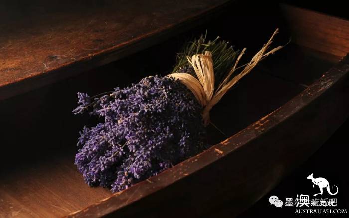 维州四大著名薰衣草花海最强攻略!瞬间穿越到普罗旺斯