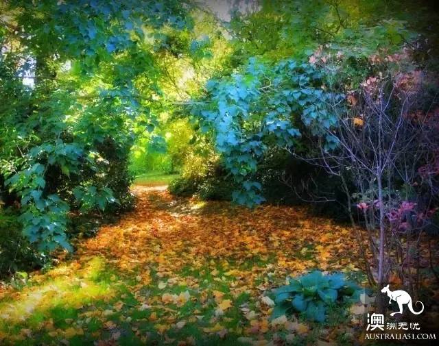 澳洲101个最美最好玩的全在这了,去完此生无憾