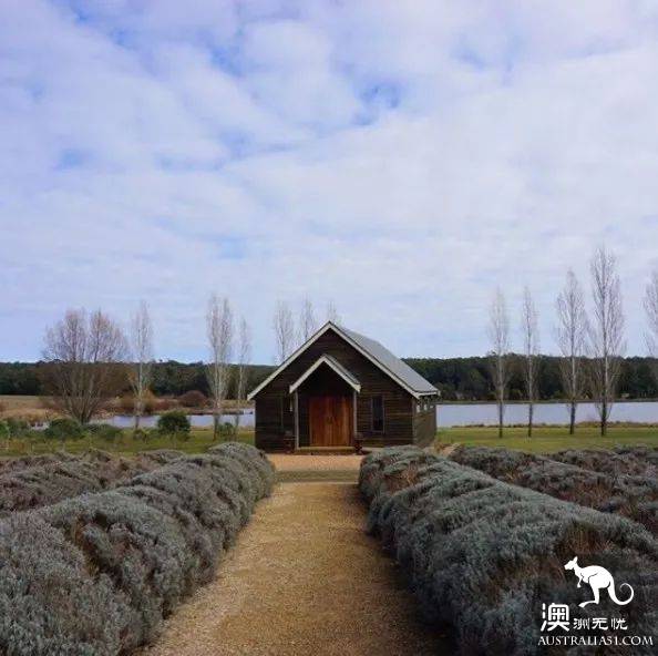 美哭了!墨尔本旁的这座复古小镇Daylesford,一秒送你穿越到19世纪