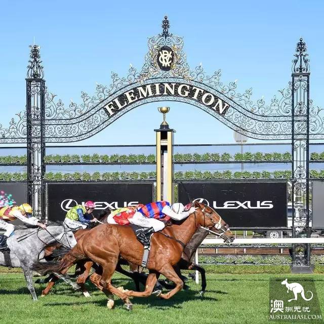 不去看赛马怎能算在墨尔本待过?2018 Melbourne Cup 最强攻略在此