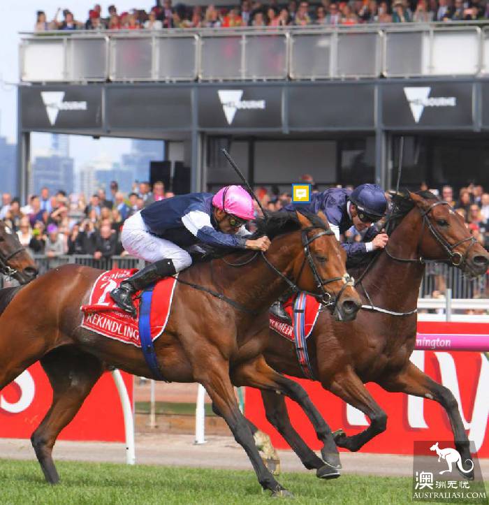 不去看赛马怎能算在墨尔本待过?2018 Melbourne Cup 最强攻略在此