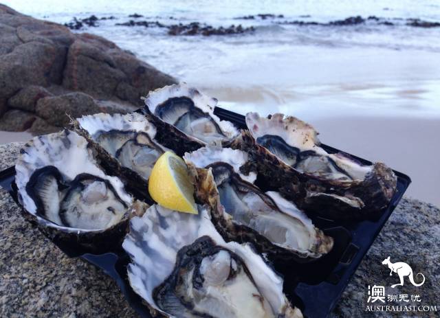 澳洲101个最美最好玩的全在这了,去完此生无憾