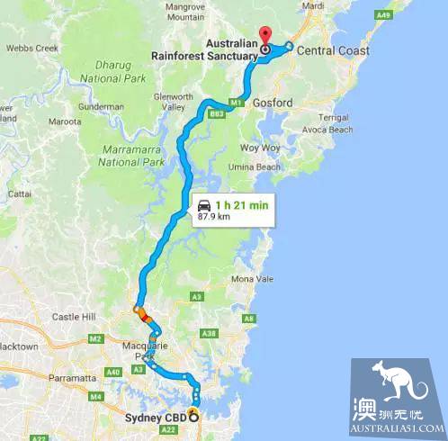 悉尼会有件神奇的事情发生，一群小精灵在悉尼城外，如梦似幻！