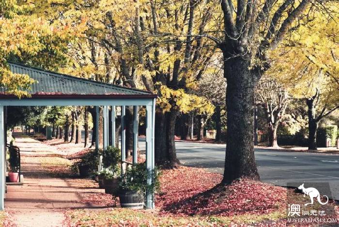 美哭了!墨尔本旁的这座复古小镇Daylesford,一秒送你穿越到19世纪