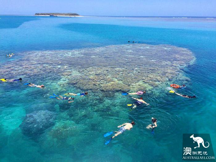 私藏的绝美珊瑚礁:怀抱中的马斯格雷夫夫人岛(Lady Musgrave Island)