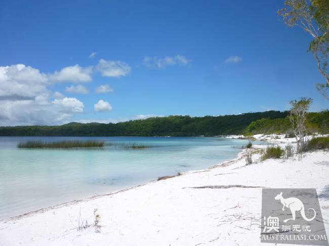 美丽的世外桃源:世界遗产费沙岛(Fraser Island)攻略