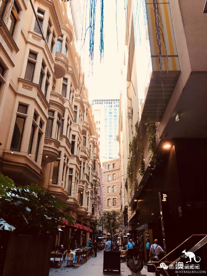 来悉尼这么久，都不知道CBD还能这样逛！走这几条路线，就像到了新城市