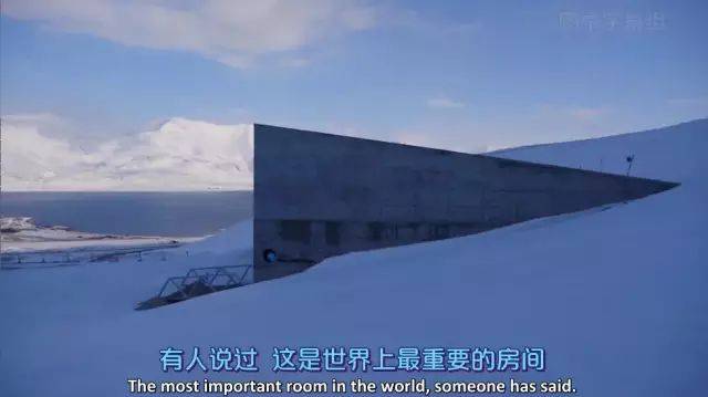 地球上最容易发生一夜情的城市!还对中国人免签